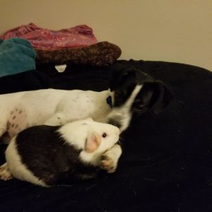 Meet your Posher, Tina